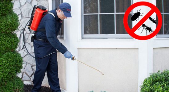 Havsa Gümüşkurt İlaçlama böcek ilaçlama ve haşere kontrolü — ilaclama-tr.com